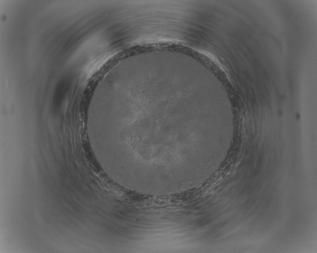 X0000072940871200607211059