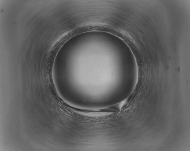 X0000072940872200607211059