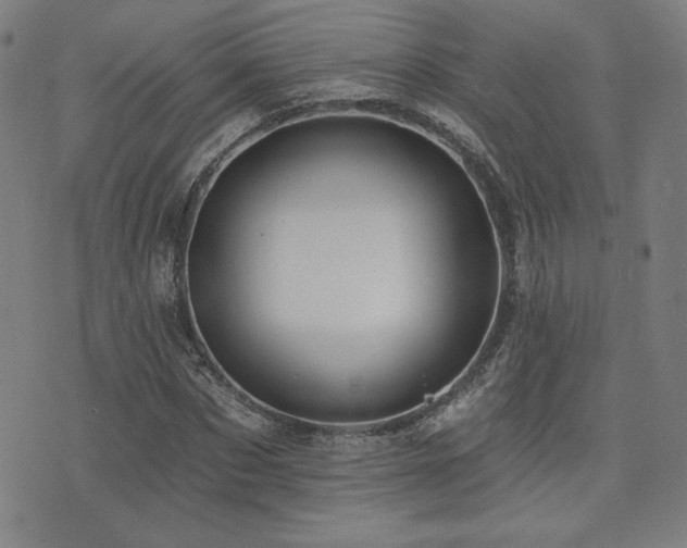 X0000072940873200607211059