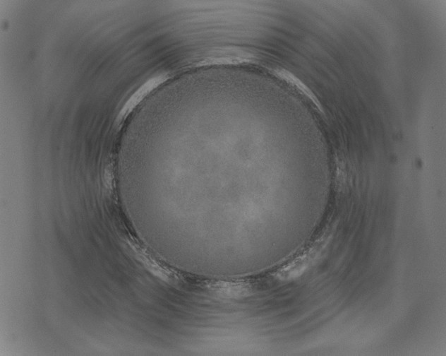 X0000072940874200607211059