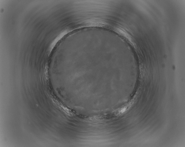 X0000072940875200607211059