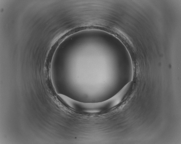 X0000072940876200607211059