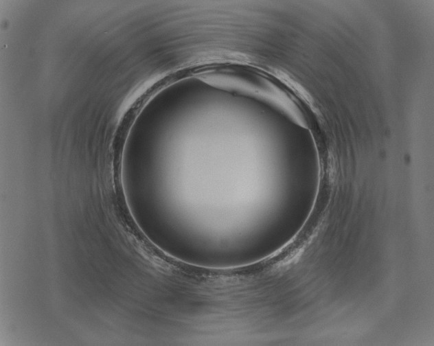 X0000072940877200607211059