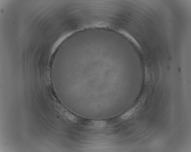 X0000072940878200607211059