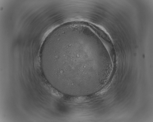 X0000072940879200607211059