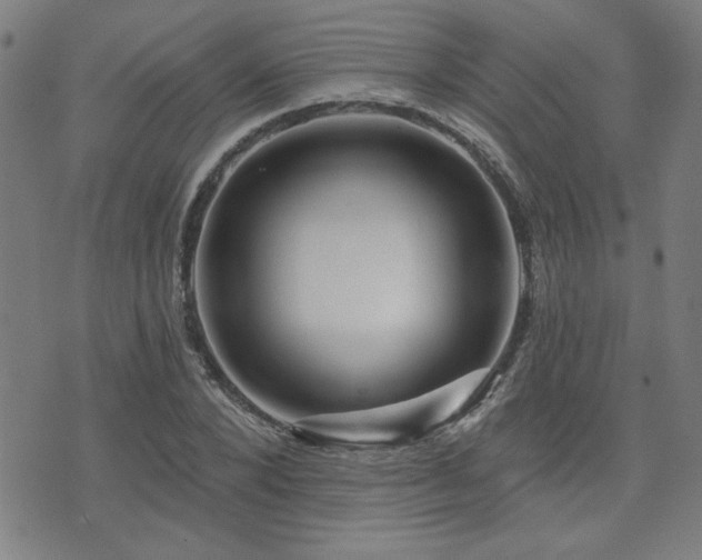 X0000072940880200607211059