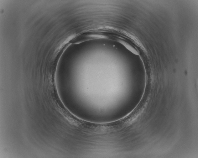 X0000072940881200607211059