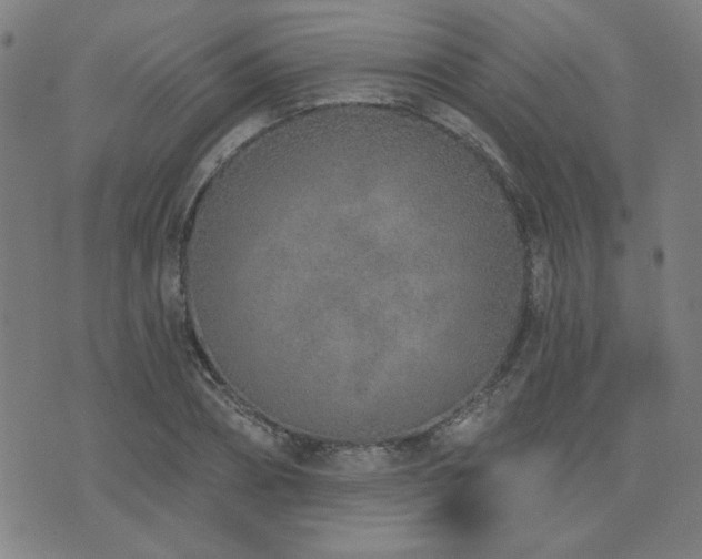 X0000072940882200607211059