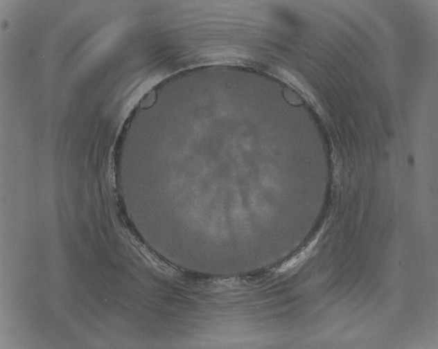 X0000072940883200607211059