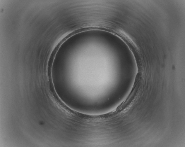 X0000072940884200607211059