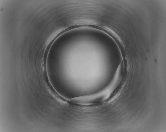 X0000072940885200607211059