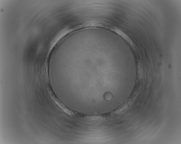 X0000072940886200607211059