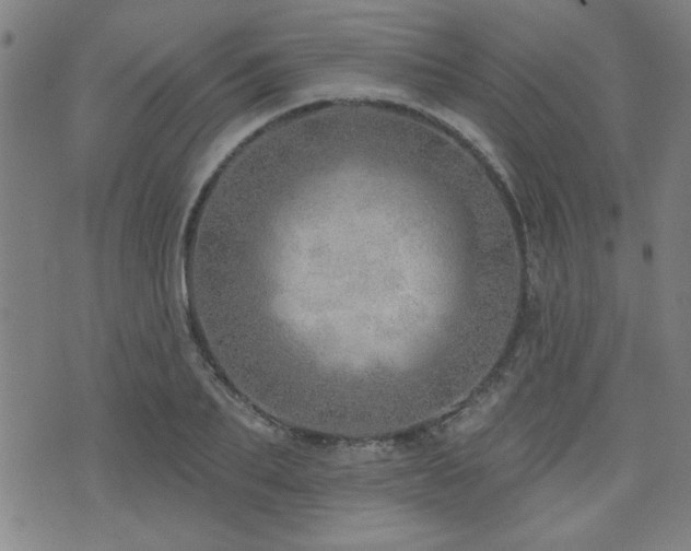 X0000072940887200607211059