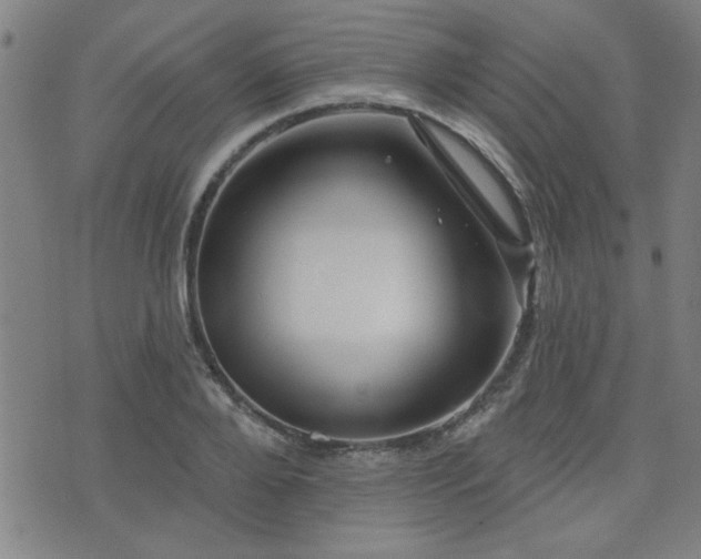 X0000072940888200607211059