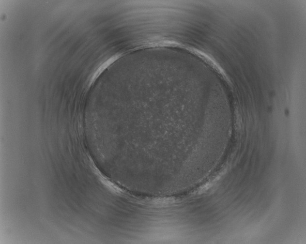 X0000072940889200607211059