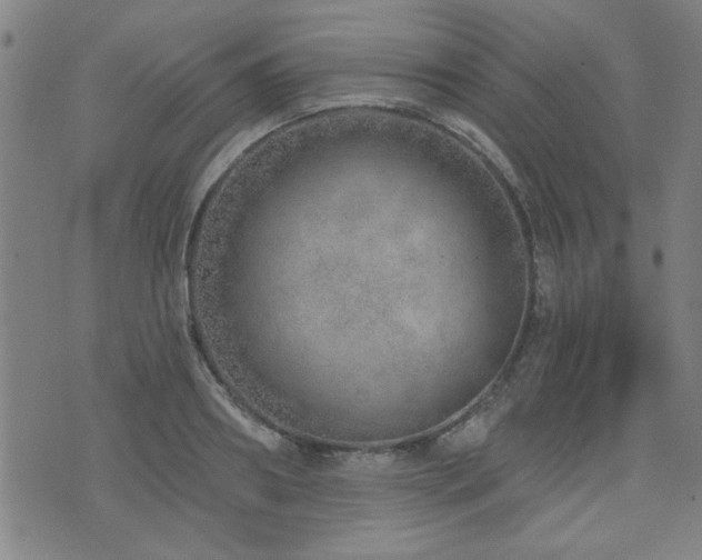 X0000072940890200607211059