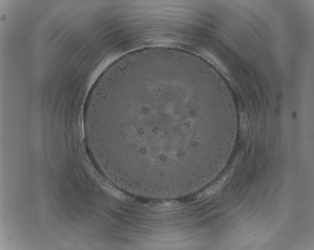 X0000072940891200607211059