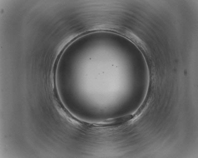 X0000072940892200607211059