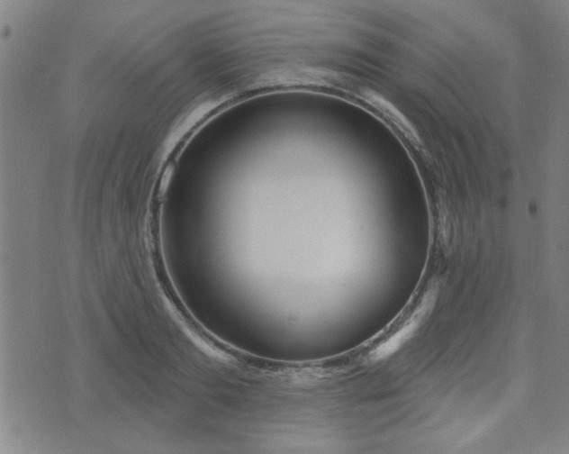 X0000072940893200607211059