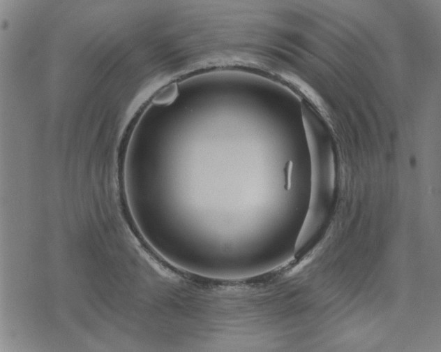 X0000072940894200607211059