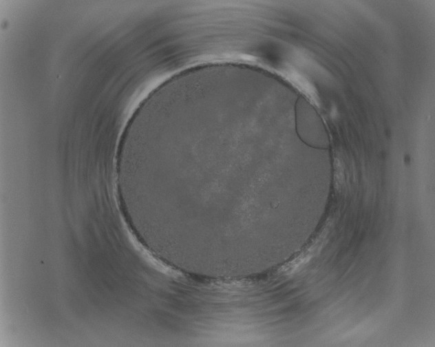 X0000072940895200607211059