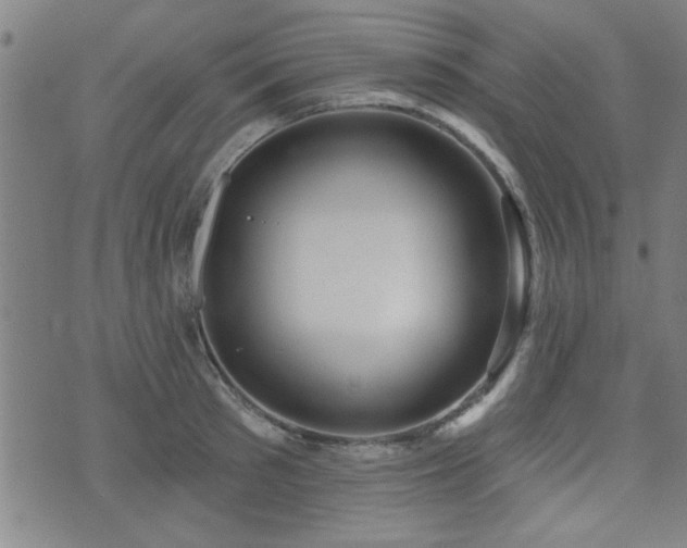 X0000072940897200607211059