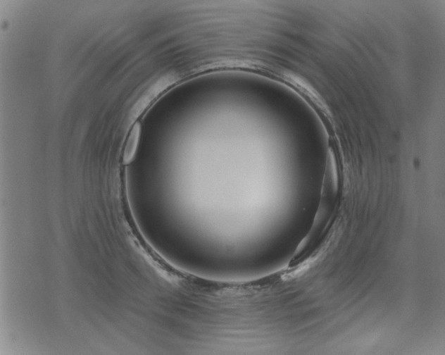 X0000072940898200607211059