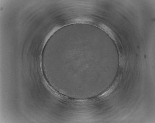 X0000072940899200607211059