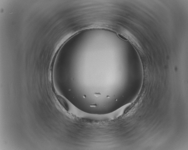 X0000072940900200607211059