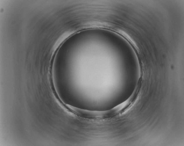 X0000072940901200607211058