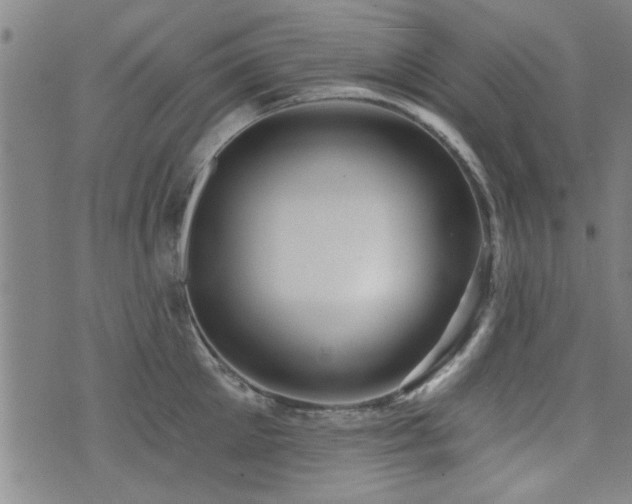 X0000072940905200607211058