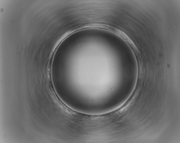 X0000072940908200607211058