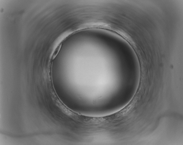 X0000072940912200607211058