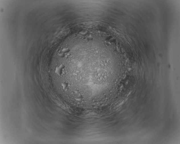 X0000072940913200607211058