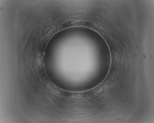 X0000072940914200607211058