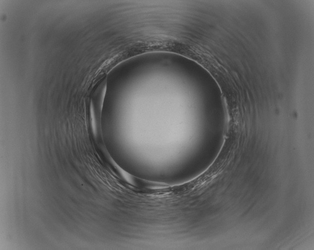 X0000072940916200607211058