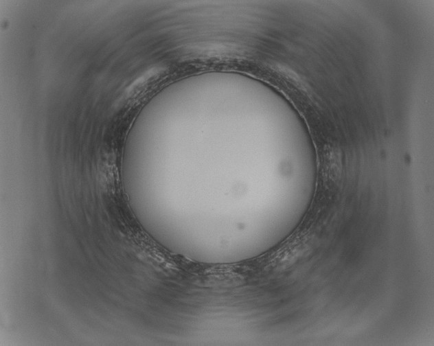 X0000072940918200607211058