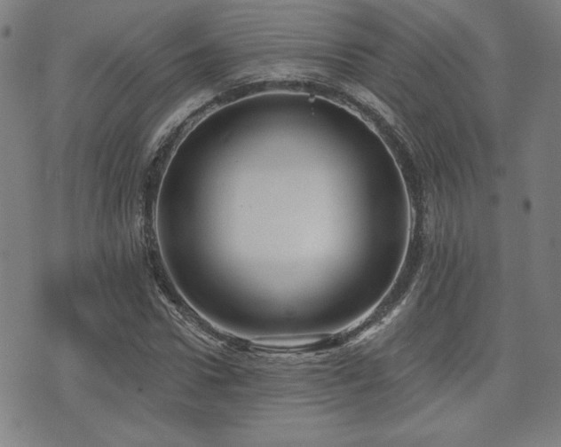 X0000072940922200607211058