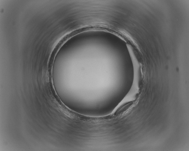 X0000072940924200607211058