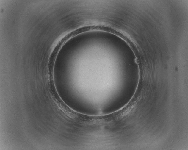 X0000072940927200607211058