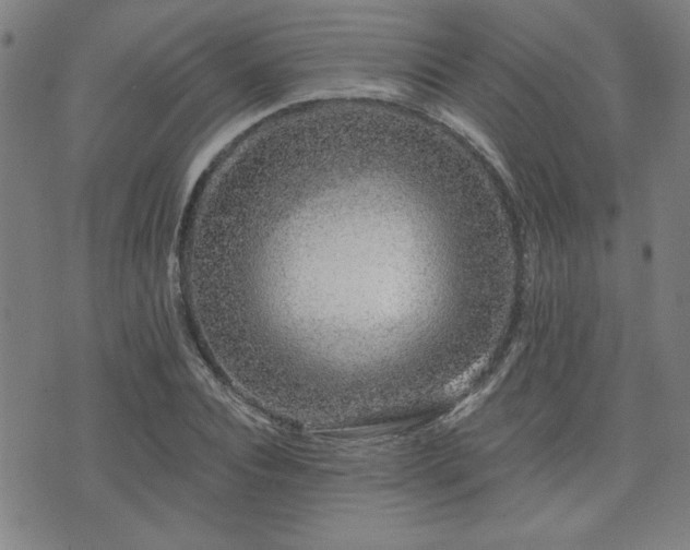 X0000072940928200607211058