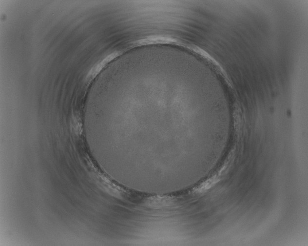 X0000072940929200607211058