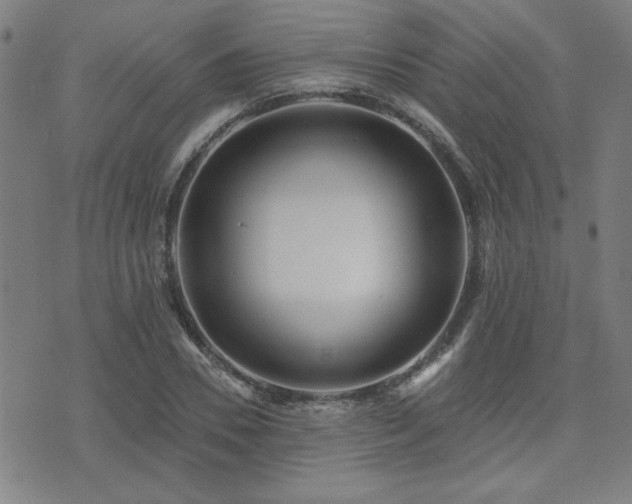 X0000072940930200607211058