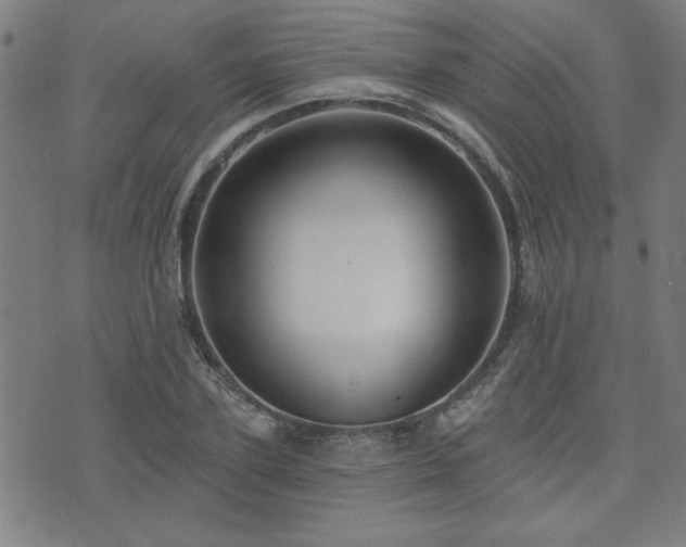 X0000072940931200607211058