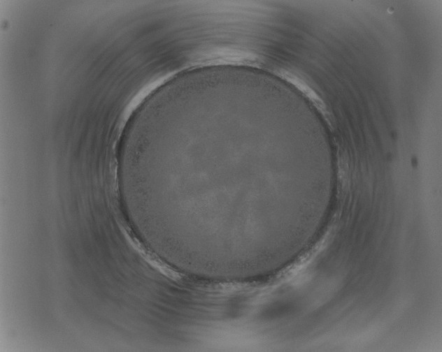 X0000072940933200607211058