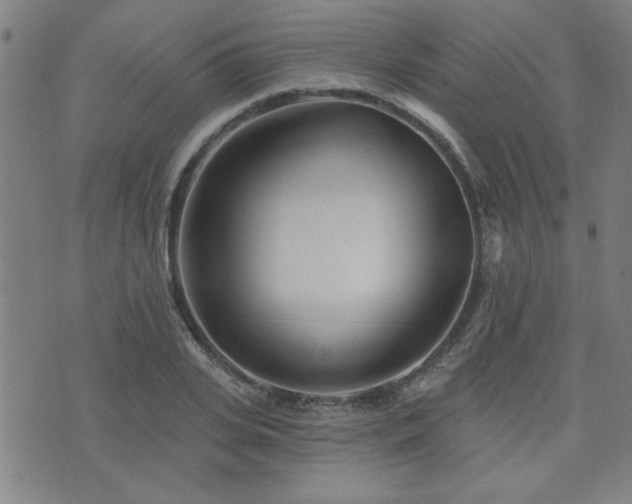 X0000072940935200607211058