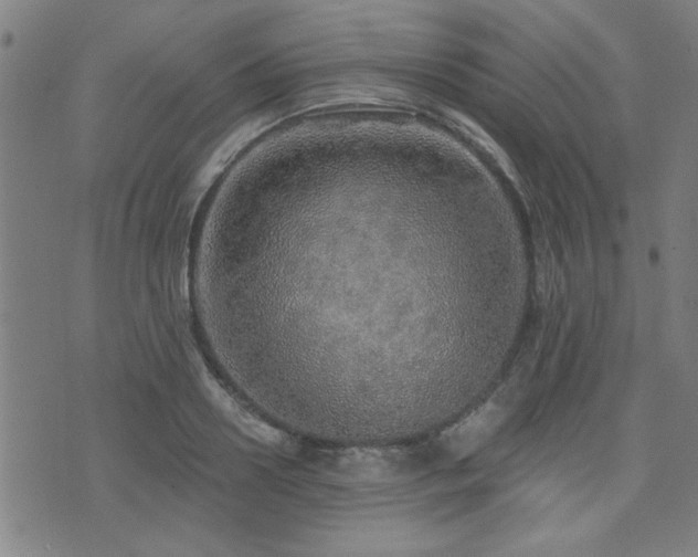 X0000072940938200607211058