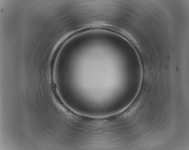 X0000072940939200607211058