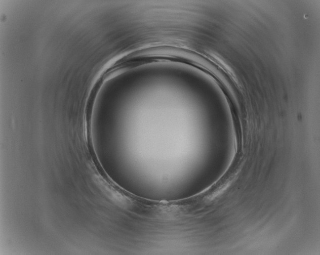 X0000072940940200607211058