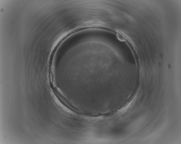 X0000072940941200607211058